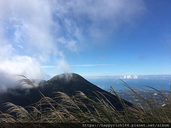 大屯山芒草季_191127_0094.jpg