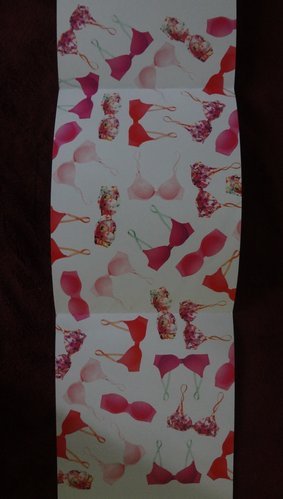 Victoria&apos;s Secret Pink Nation DM 5.jpg