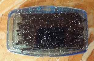 Dasio Japan(大創) Hair Pin 11.JPG