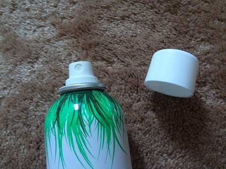 Not Your Mother Clean Freak Refreshing Dry Shampoo (Original Scent) 6.JPG