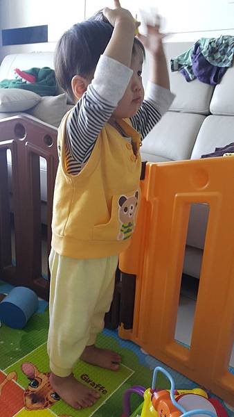 20170108_122419.jpg