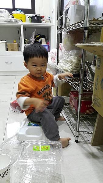1y8m7d01.jpg