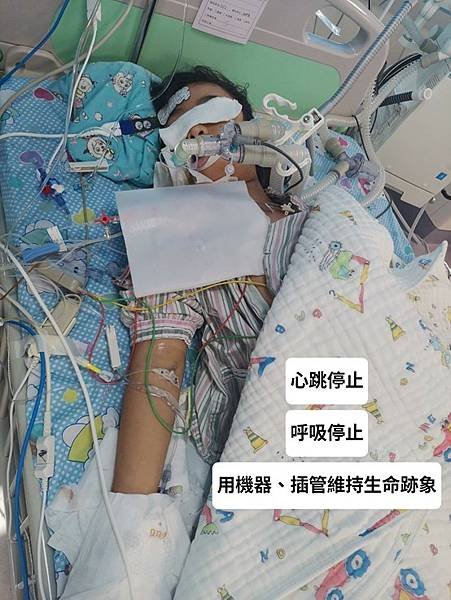 圖片1.jpg