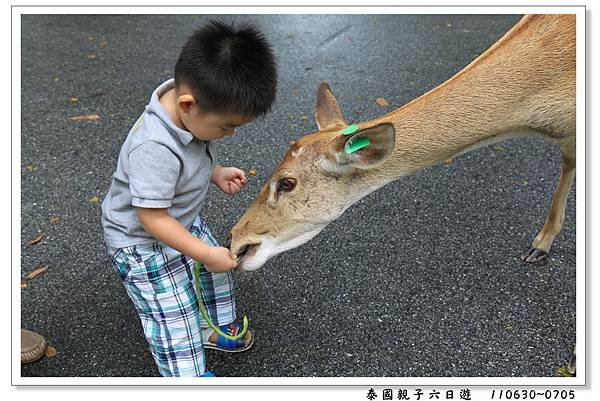 泰國親子六日遊31.jpg