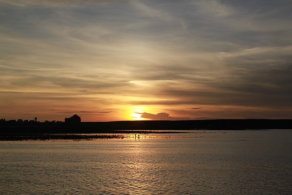 IMG_0993.JPG