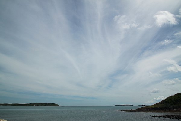 IMG_0703.JPG