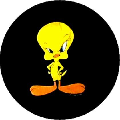 tweety.jpg