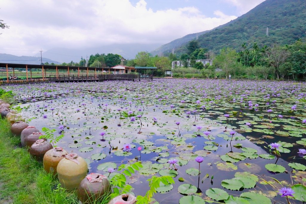 【花蓮吉安鄉民宿推薦】花蓮金澤居 (5).jpg