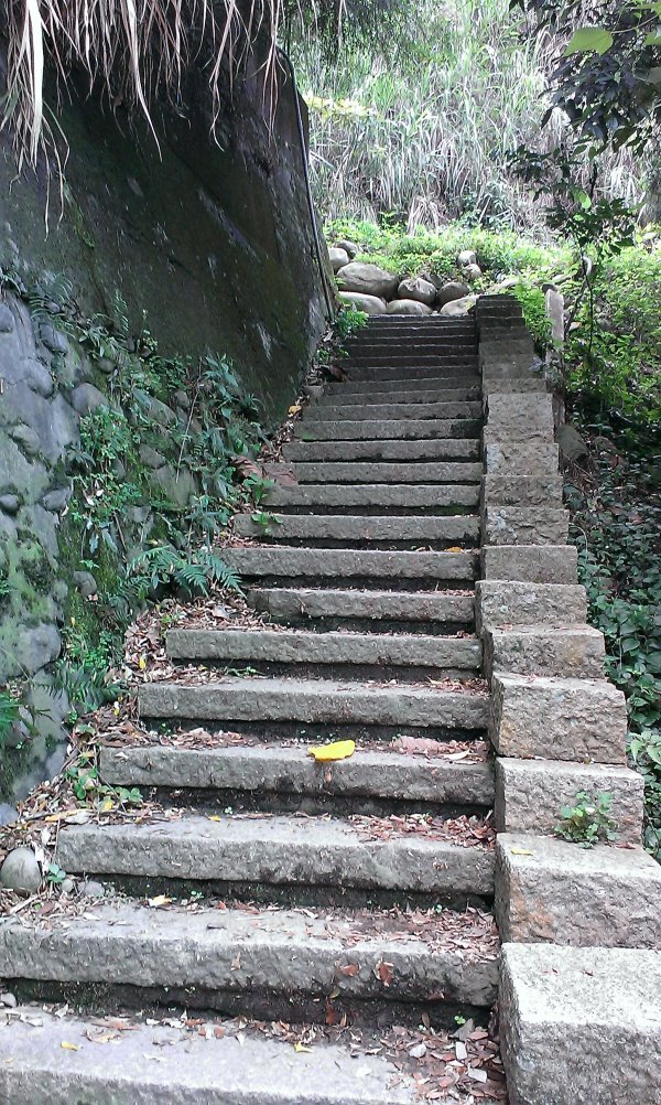 IMAG0278