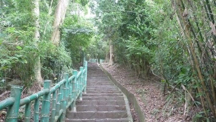 P1090449