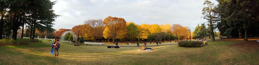 代代木公園(1).jpg