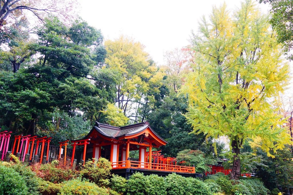 根津神社.jpg