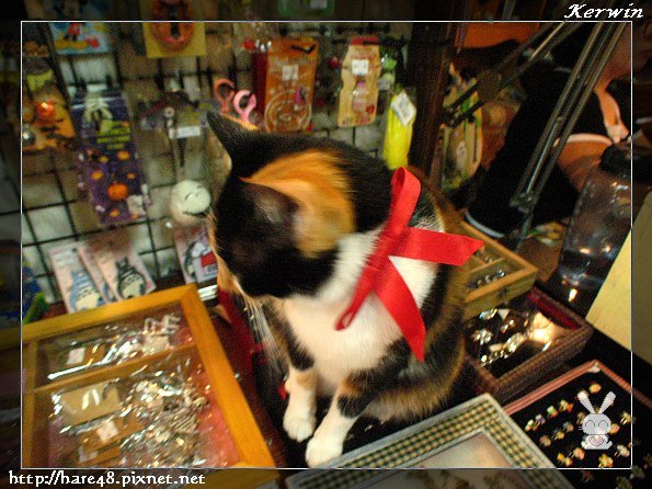魔女工房17