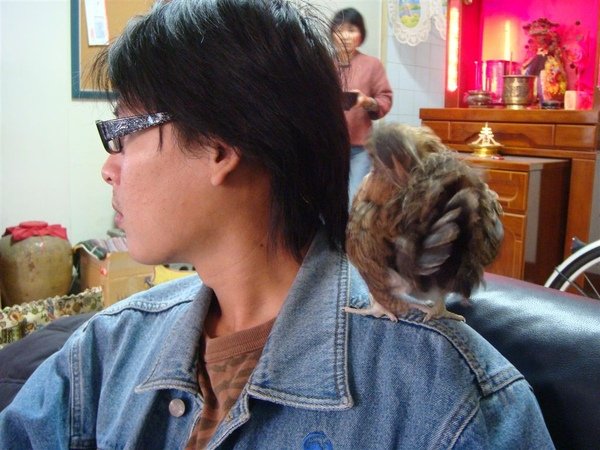 DSC02858.JPG
