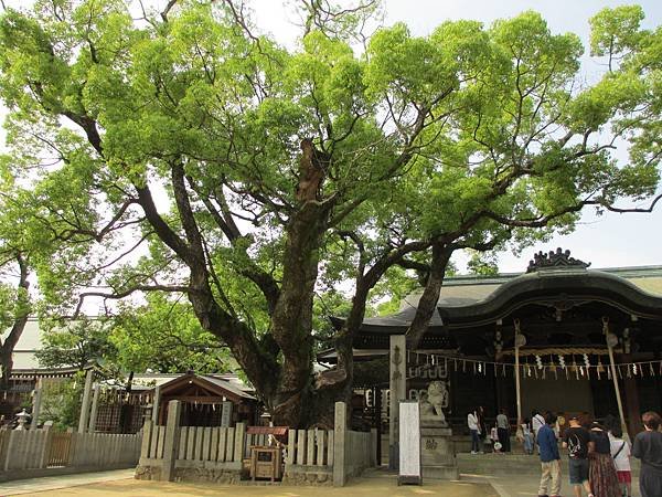 石切神社28.JPG