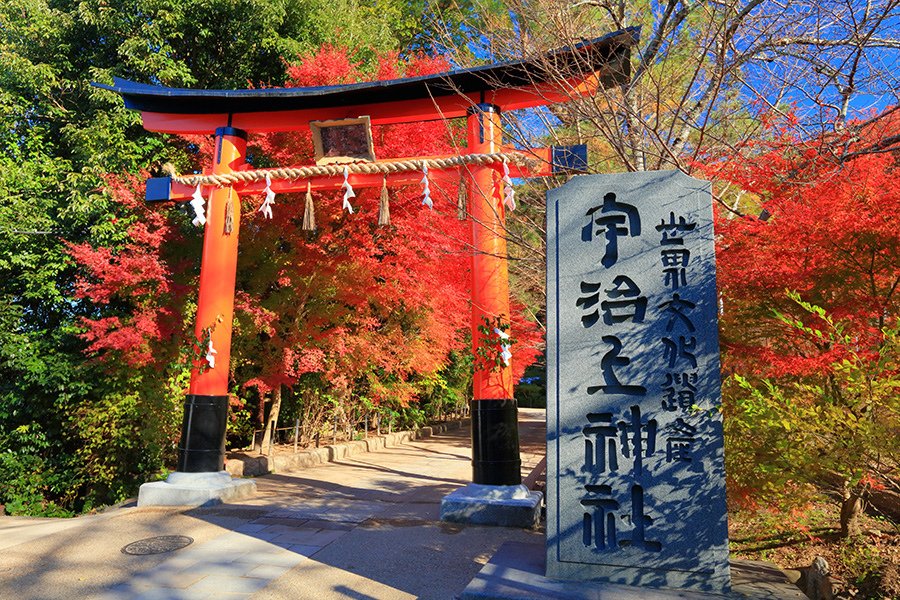 宇治上神社 秋10.jpg