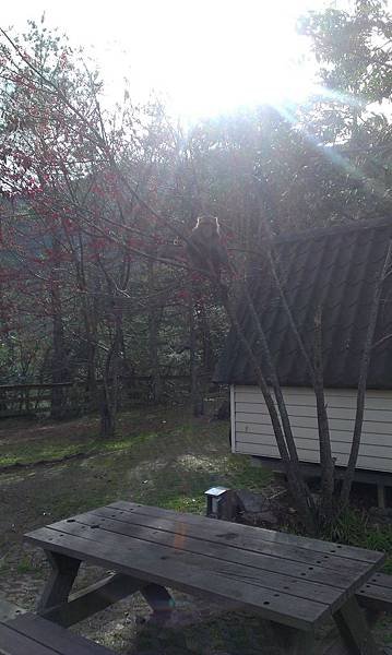 IMAG0872.jpg