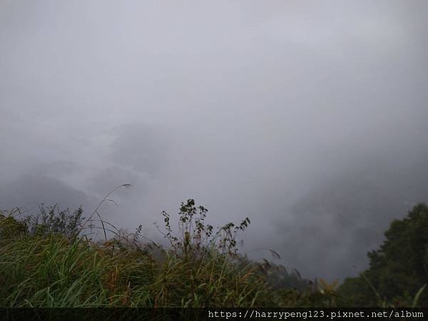 DSC_7096.JPG