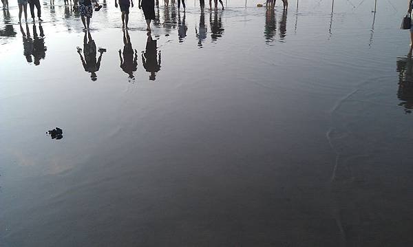 高美濕地水中倒影