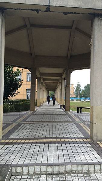 花蓮-東華大學長廊