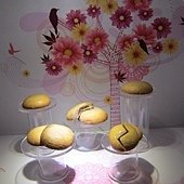 IMG_0105