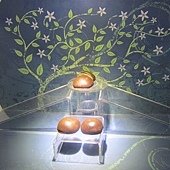 IMG_0106