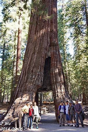 2014 0906 (4).JPG