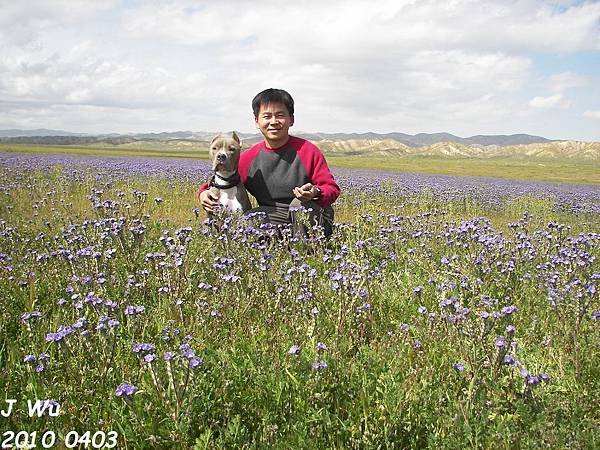 P 2010 0403 Avin, Carrizo Plain (25).jpg