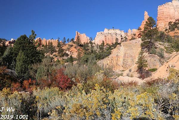 2019 1001 布來斯國家公園 Bryce Canyon (17).JPG