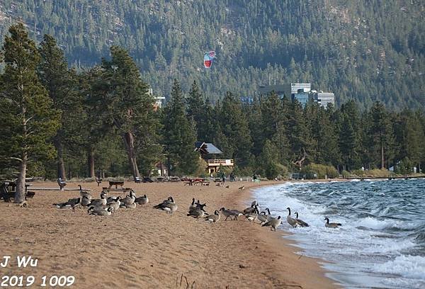 1009 太浩湖，雷諾 Lake Tahoe, REno (3).JPG