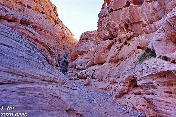 火谷州立公園 Valley of Fire (47).JPG