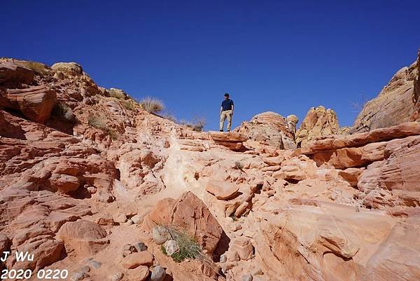 火谷州立公園 Valley of Fire (55).JPG