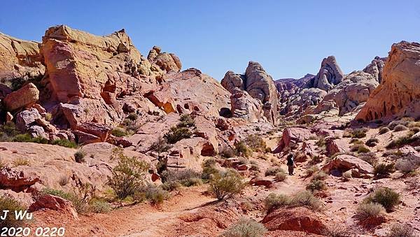 火谷州立公園 Valley of Fire (59).JPG