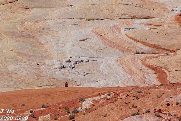 火谷州立公園 Valley of Fire (13).JPG