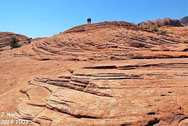 史諾峽谷 Snow Canyon (16).JPG