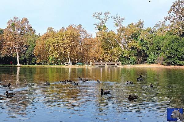 加州爾灣公園 (7).JPG