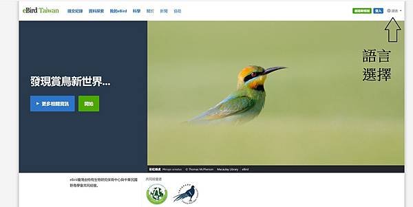 濕地水鳥 ebird (24).jpg