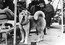 hachiko2.jpg