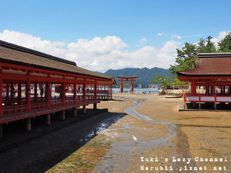 廣島宮島嚴島神社31