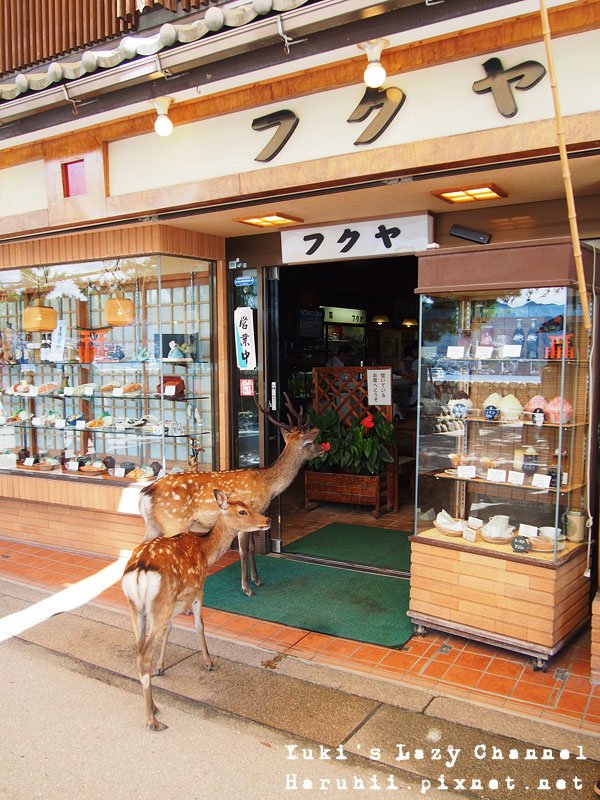 廣島宮島嚴島神社42