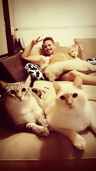 cat