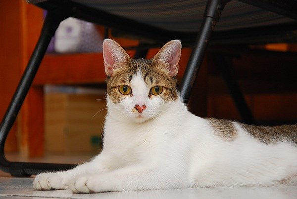 DSC_0305.JPG