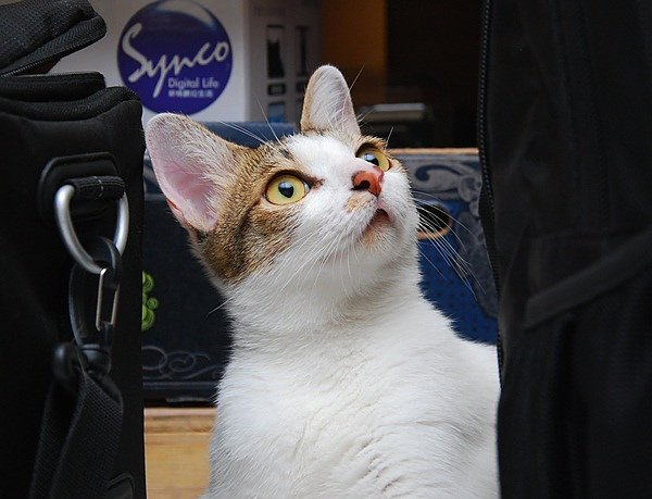 DSC_0319.JPG