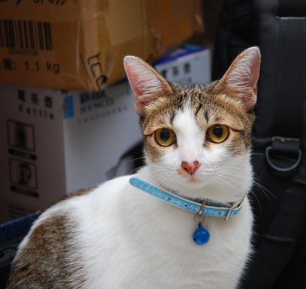 DSC_0357.JPG