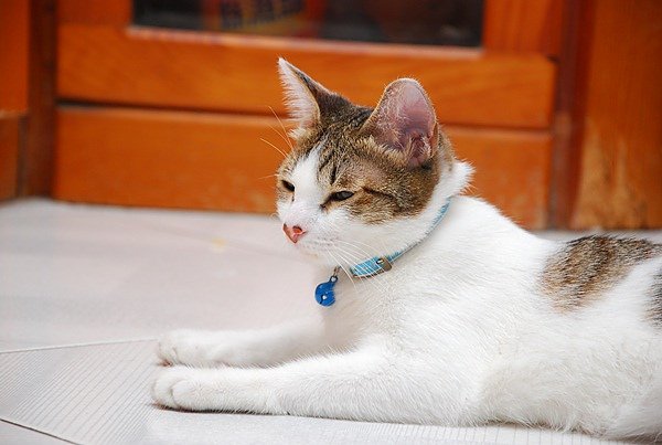 DSC_0360.JPG