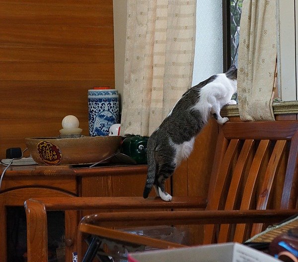 DSC00005.JPG