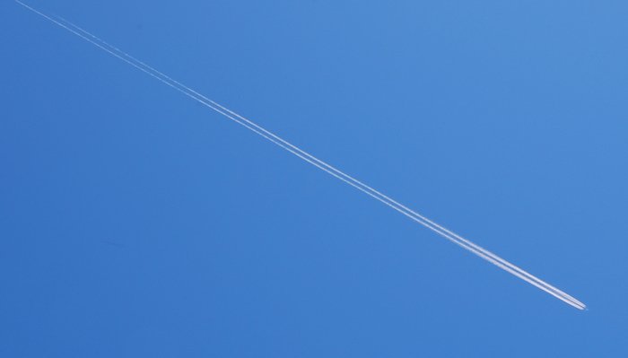 DSC_2461.jpg