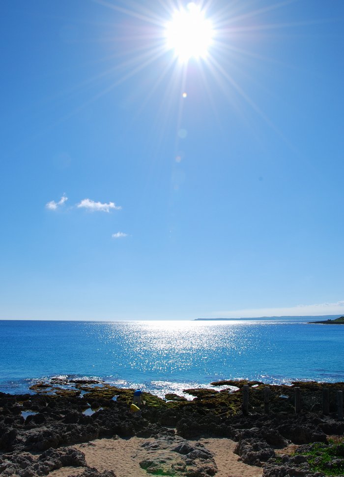 DSC_2469.jpg