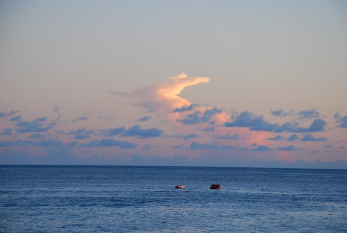 DSC_2485.jpg