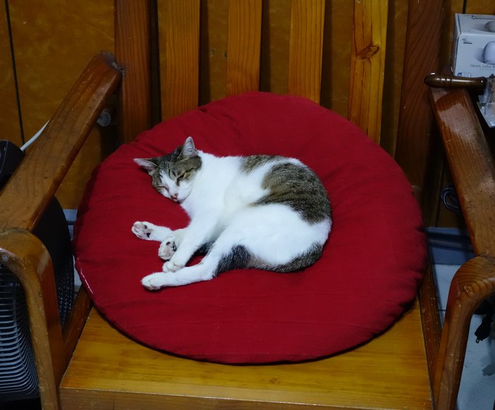 DSC00056.jpg